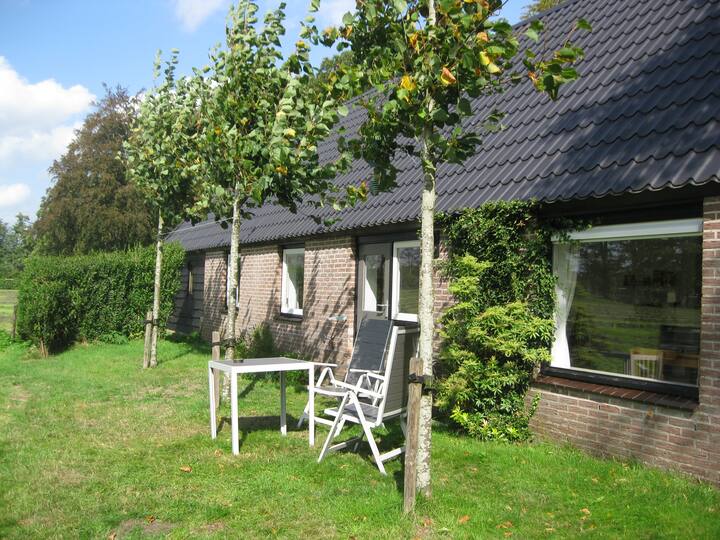 Hulshorst Vacation Rentals & Homes - Gelderland, Netherlands | Airbnb