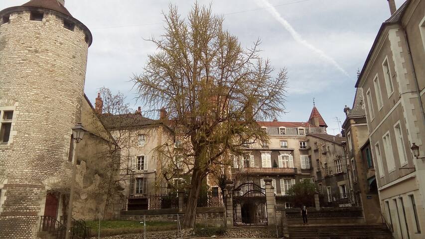 Welcome to the castle in my ptit appart 'atypical