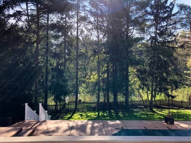Nature’s Suburban Retreat