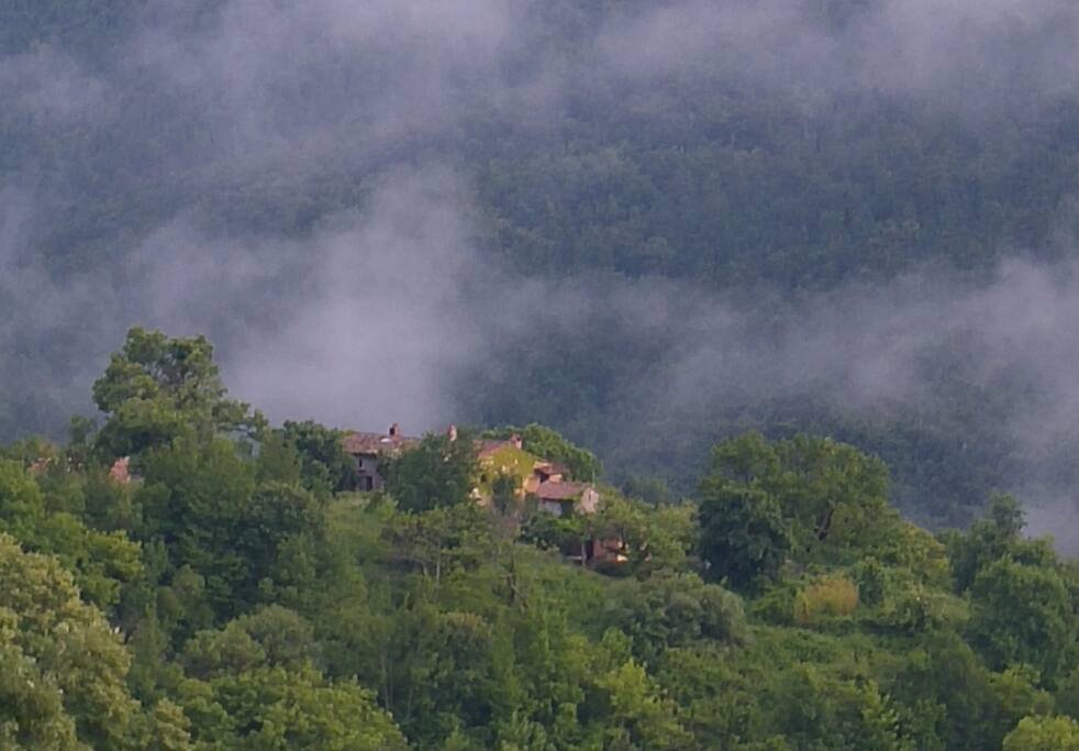 Podere di Maggio
