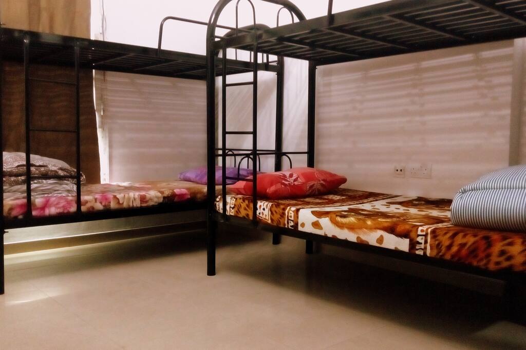 The Accommodation