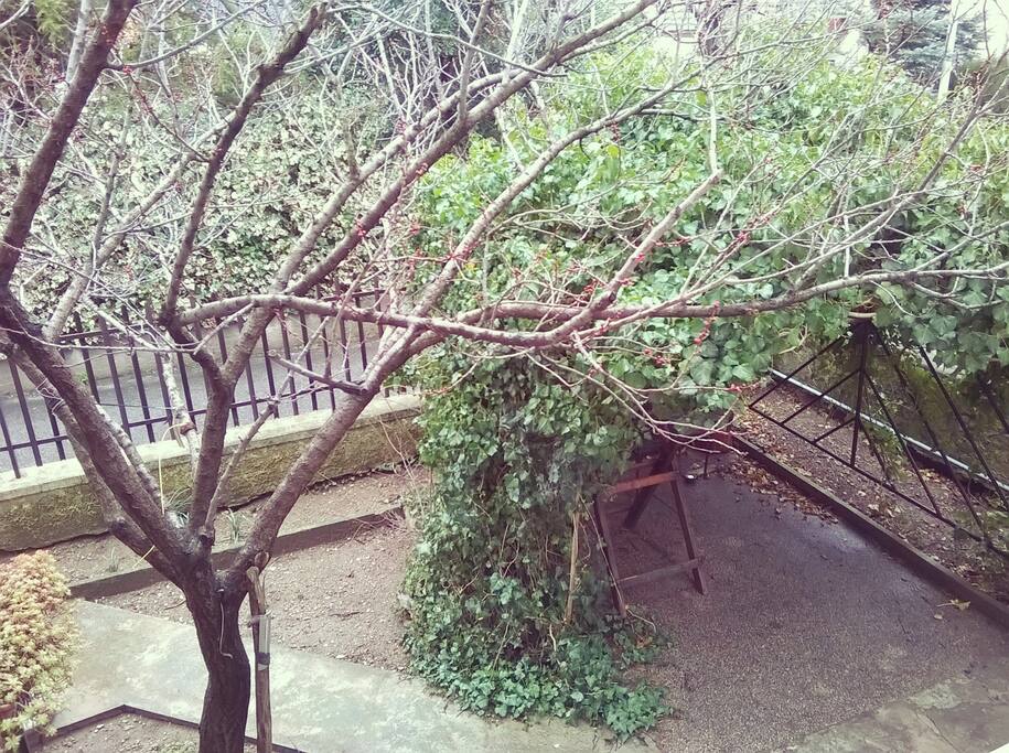 View out of the window