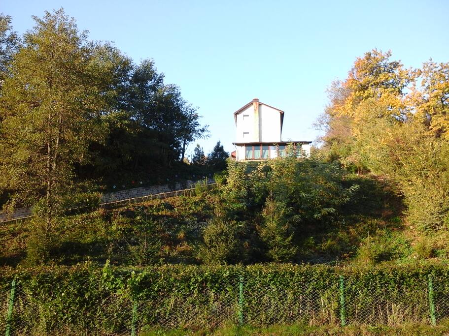 Casa Piscul lupului