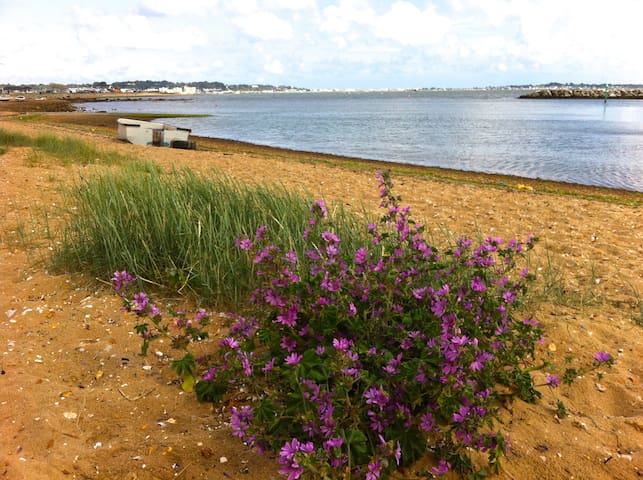 2 minutes from Harbourside Park