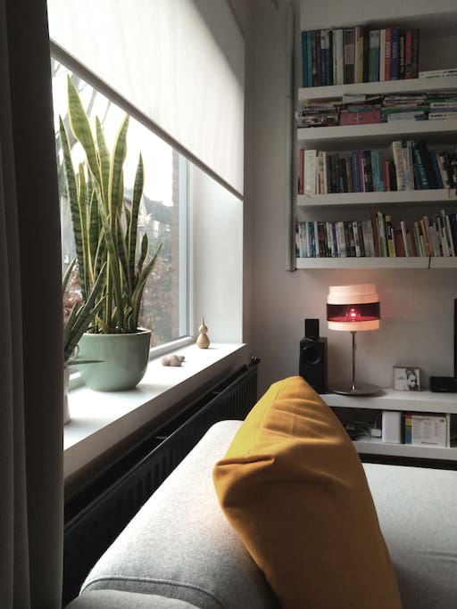 relax in the cosy couch