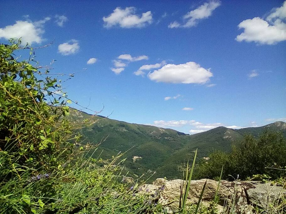 vue sur la montagne