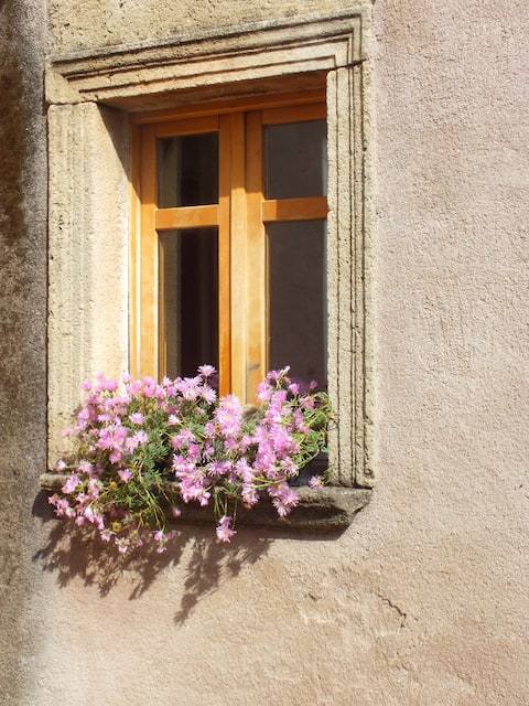 Charming Campidanese House IT095043C2000P3544