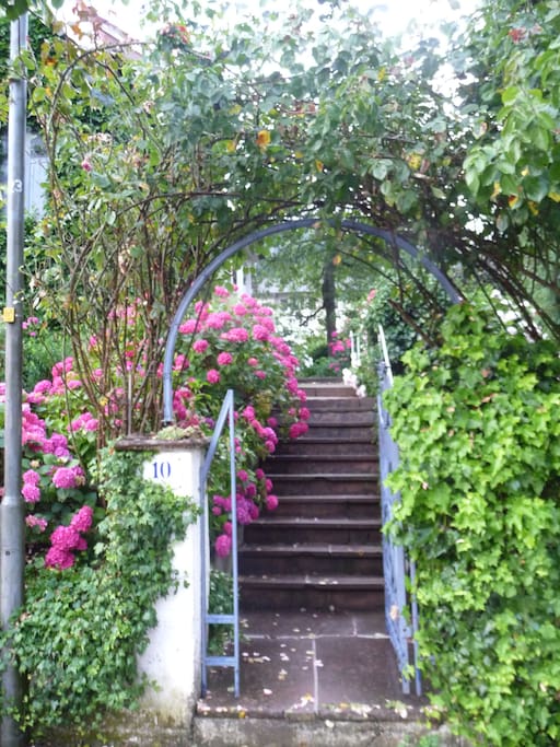 Treppe zu Haus und Garten