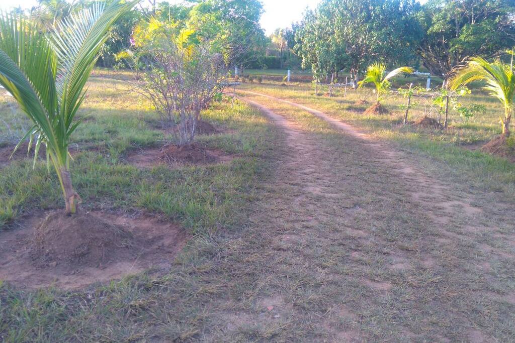 Entrada vehicular