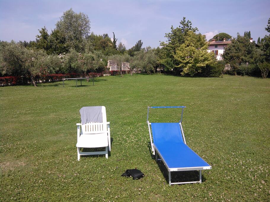 il parco