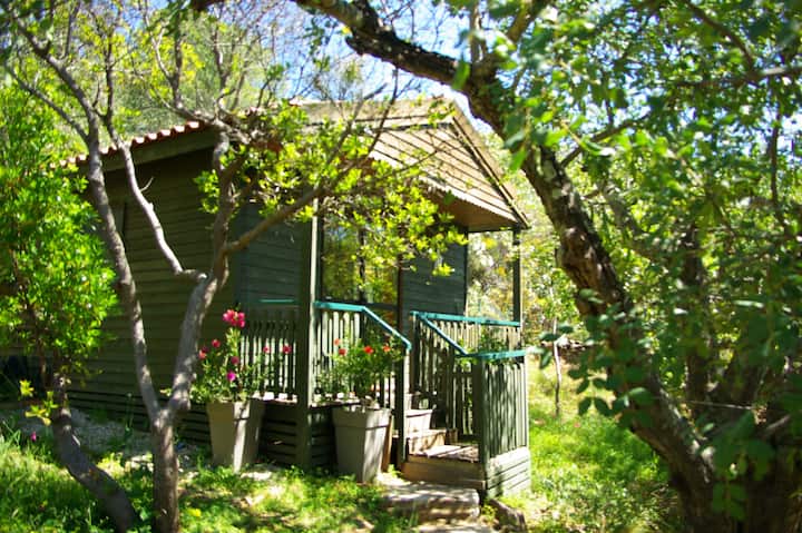 Chalet 1 Chambre - Algarve
