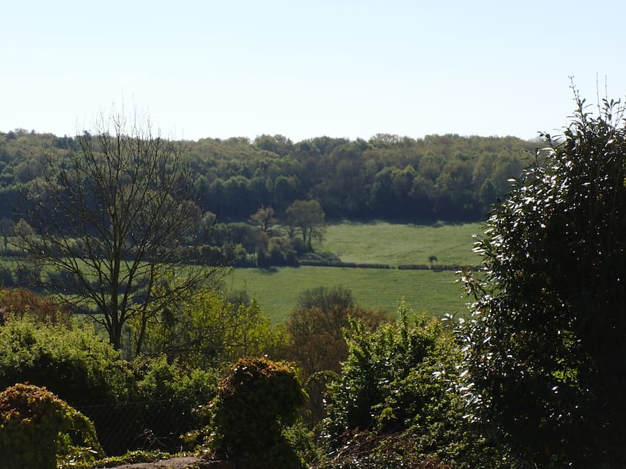 vue sur la campagne depuis le jardin