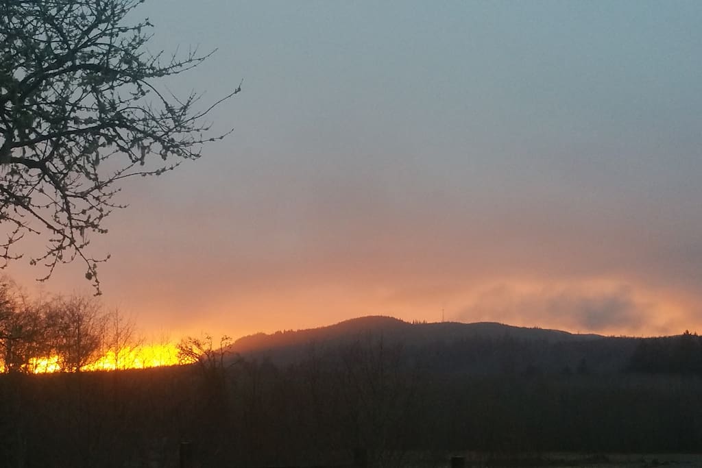 Sunset picture taken from next door.