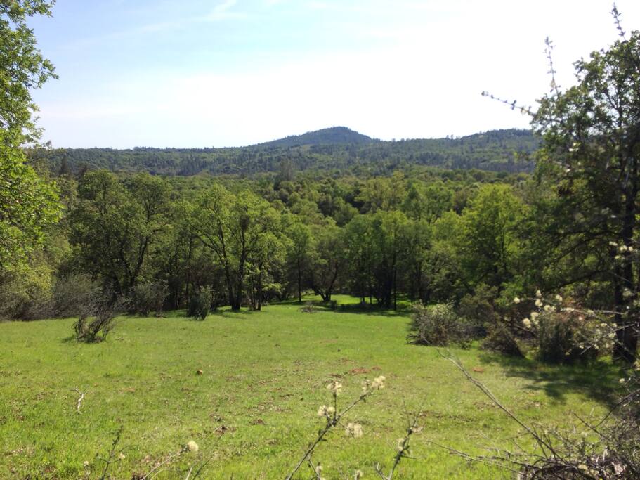 Looking out to the private view of Pilot Peak and Underwood Vineyards / Indian Springs...