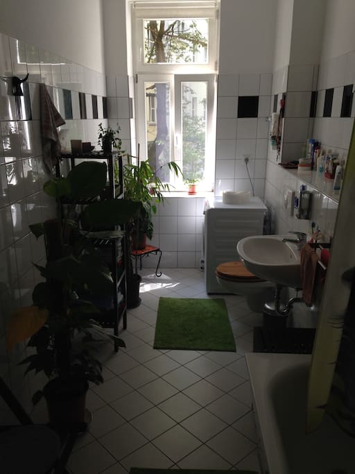 Daylight bathroom