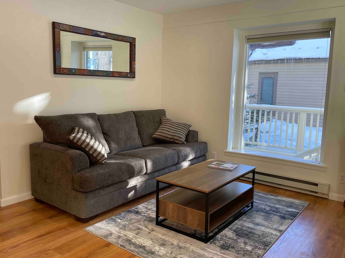 Successful Airbnb property: Quaint Sunny Condo - Three Blocks from Downtown! in Aspen