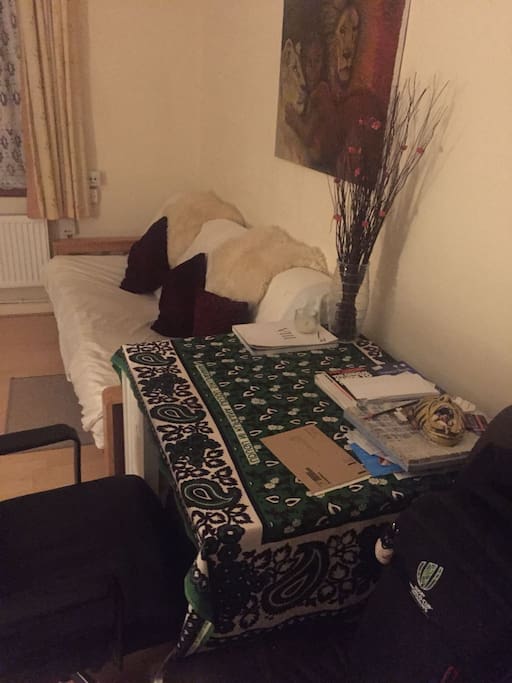 Living room + Sofa bed