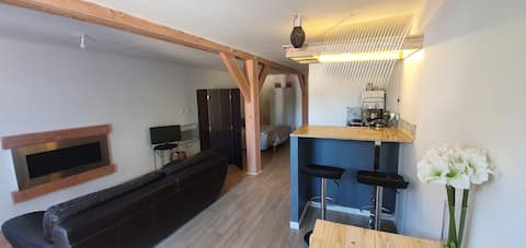 Rental of 35 m2 independent studio on the ground floor