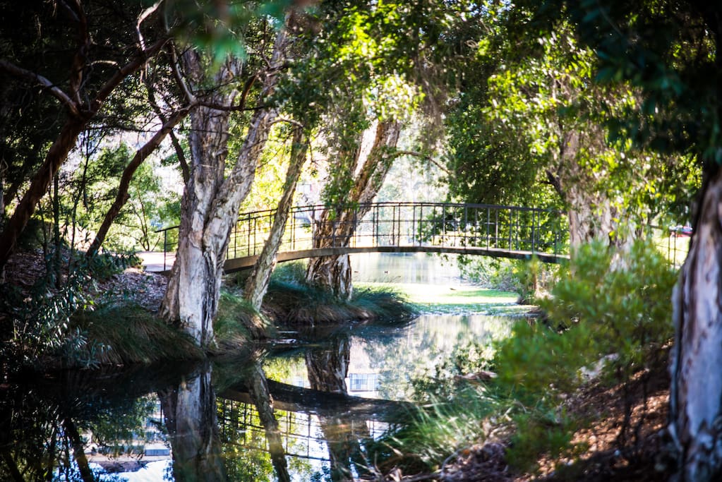 Where will your morning walk lead you!