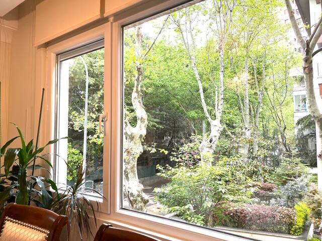 Luxurious Flat with swimpool by the Seaside gallery image 4