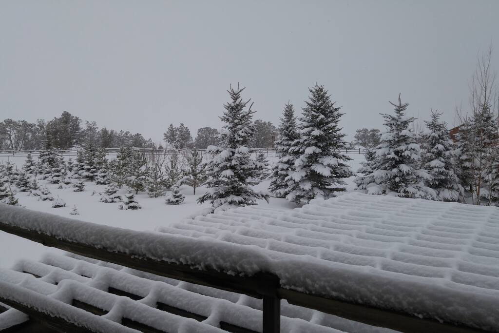 Just enough snow to play in