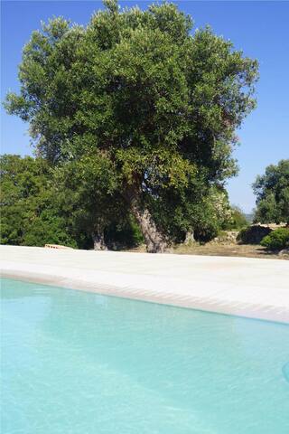 INFINITY POOL VILLA – 3 bedrooms gallery image 5