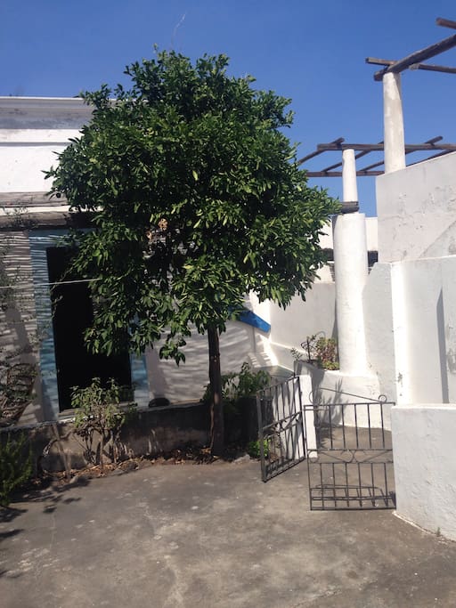 Cortile/Giardino