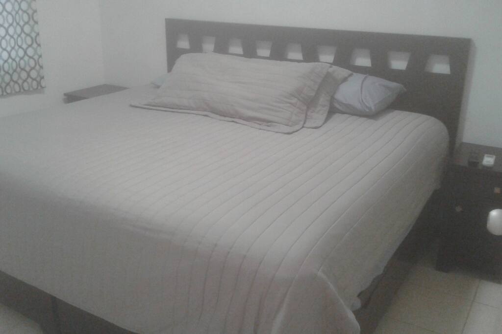 Cama king en habitación principal Y TV