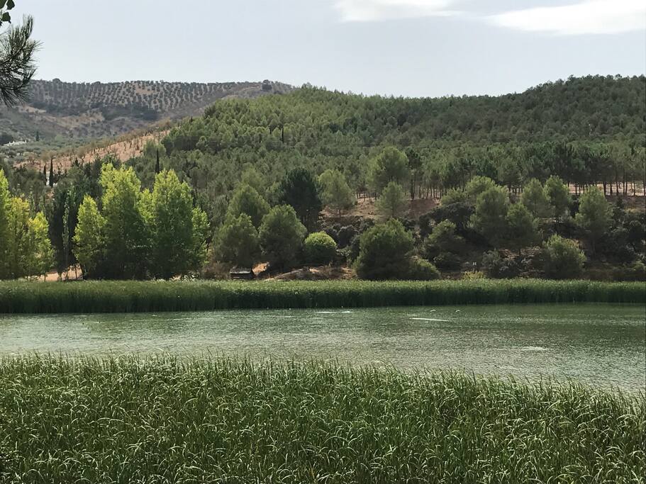 Entorno del pueblo paraje Alhama de Granada