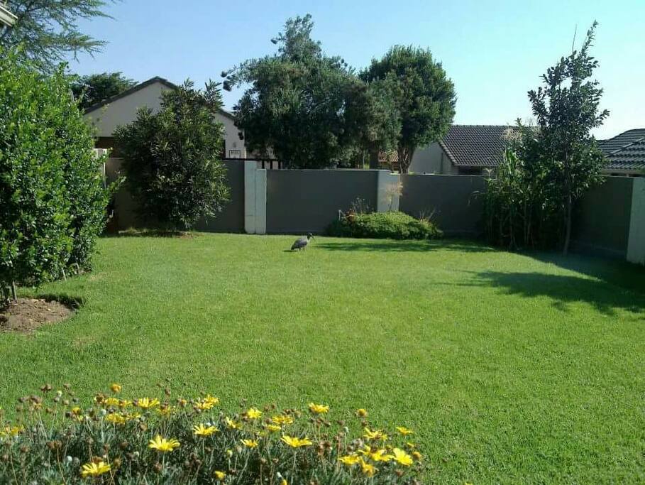 garden space to relax and enjoy outdoor