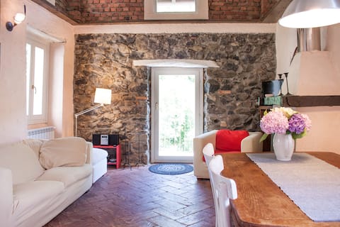Ca de l'Oi - Traditional lake house