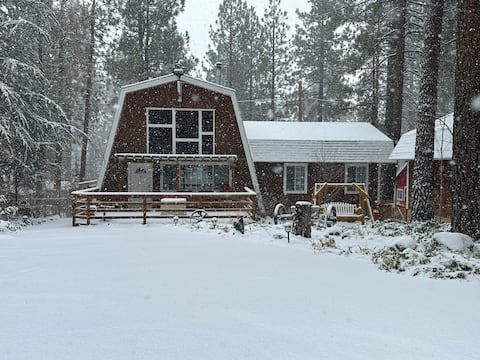 Cozy Cabin Set in Pines Surrounded by Lilacs