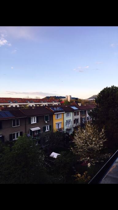Sights from the landscape (guest's room) :)