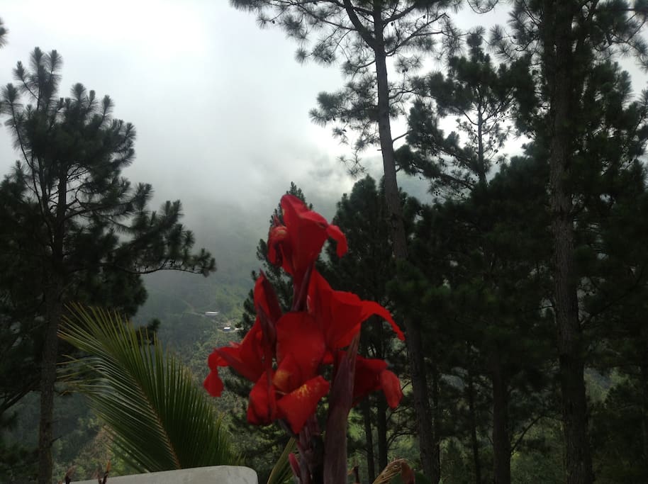 Blue mountain trip