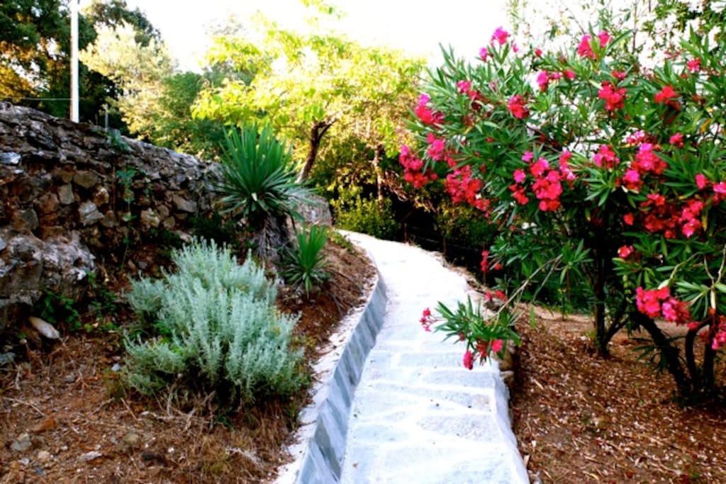 Chemin reliant la villa et le studio.