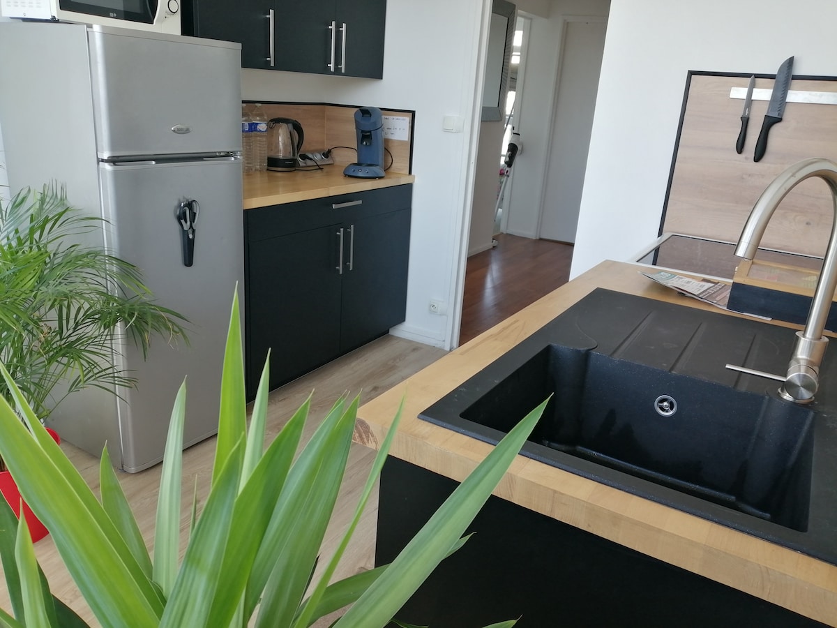 The bright kitchen area features sleek black cabinetry and a modern stainless steel refrigerator. A wooden countertop provides ample space for preparation, accompanied by a coffee machine and kettle. A potted green plant adds a touch of nature to the vibrant, welcoming environment.