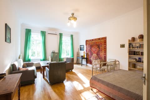 Vintage apartment on G. Kikodze Street N12