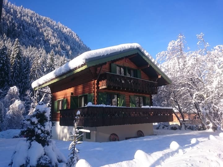 Chatel 5 Bedroom Chalet With Large Garden - La Chapelle-d'Abondance