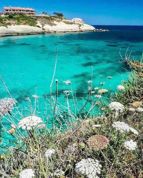 Apartment 800 meters from the sea