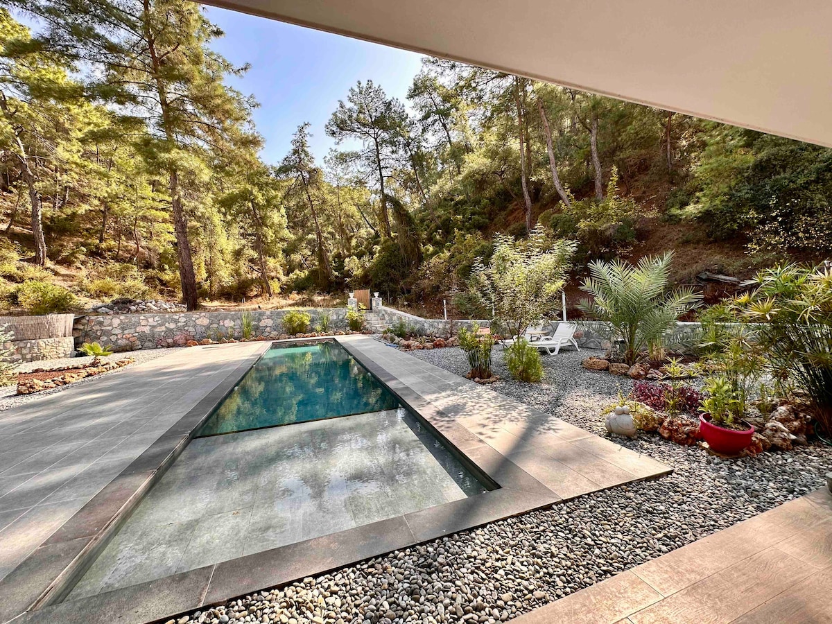 A serene swimming pool is surrounded by carefully arranged rocks and vibrant plants. Tall pine trees create a lush backdrop, enhancing the natural feel of the outdoor space. An outdoor seating area is visible in the background, inviting relaxation in the tranquil setting.