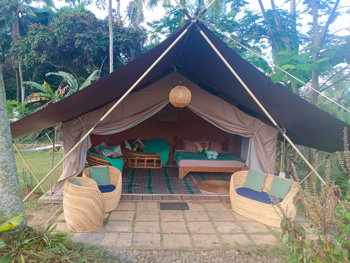A spacious glamping tent is framed by lush greenery, featuring a soft bedding arrangement and woven seating. Two wicker chairs with cushions offer a comfortable spot to relax. Natural light filters through the open tent entrance, highlighting the tranquil outdoor setting.