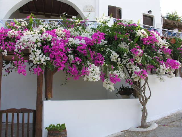 SYROS Apartment Steps to Best Beach Sleeps  3