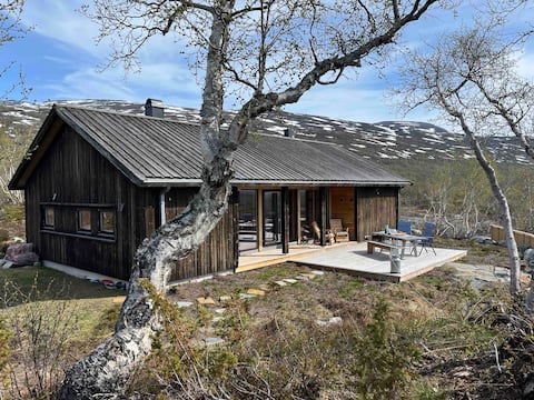 Cottage paradise at Grotli