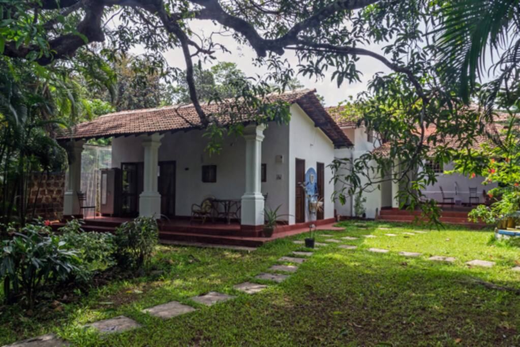 Our lovely EDENhouse in our rear garden.