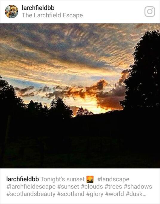 Sunset at Larchfield