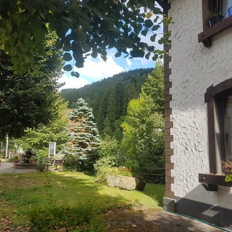 Bad Peterstal Griesbach Vacation Rentals Homes Baden Wurttemberg Germany Airbnb