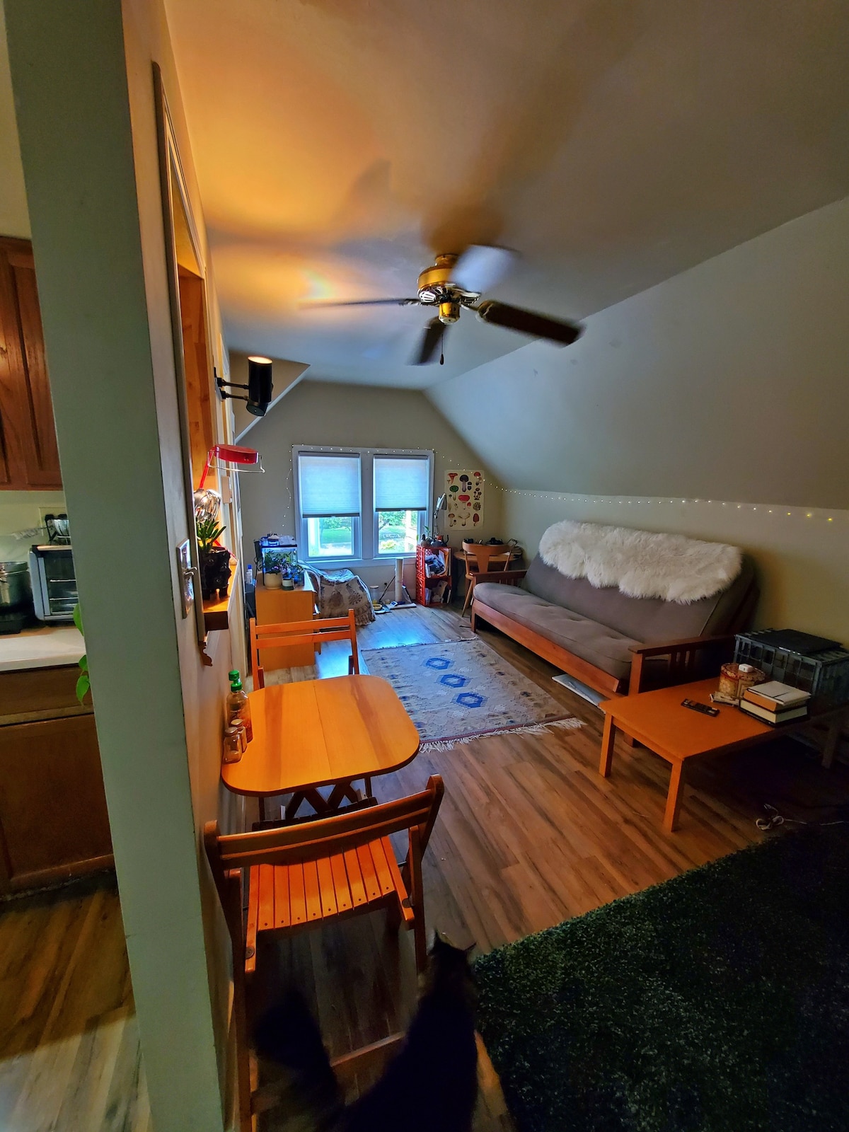 A cozy living area is depicted with a futon sofa draped in a white throw. Natural light filters through two windows, enhancing a sense of spaciousness. A small dining table is positioned next to the kitchen, with wooden chairs and a soft area rug completing the scene.