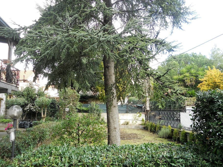 Vista giardino