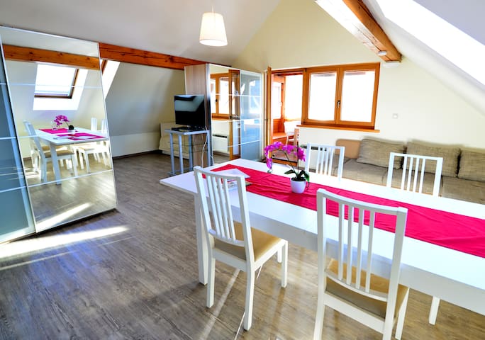 Attic flat with balcony, sauna and private beach