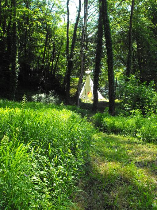 tipi dans la nature
